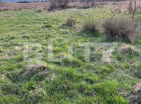 Teren de vânzare Exterior Nord - 103966TV | BLITZ Târgu Jiu | Poza2