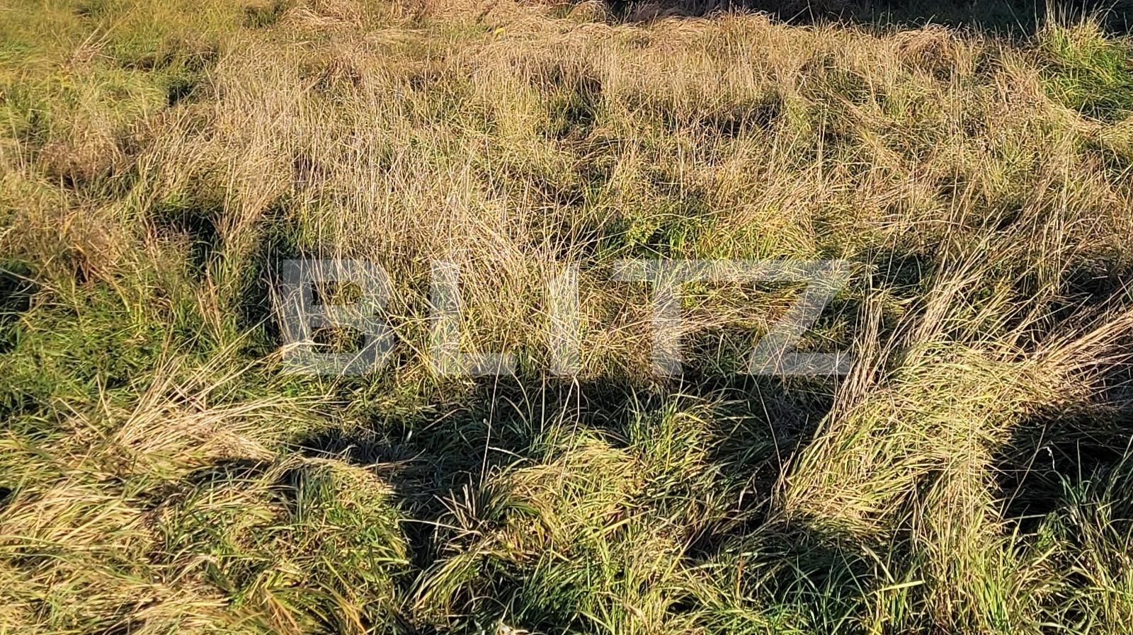 Teren de vânzare Exterior Nord - 103966TV | BLITZ Târgu Jiu | Poza3