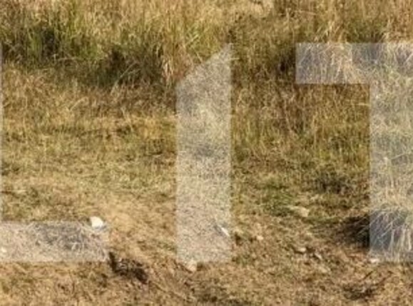 Teren de vânzare Central - 103967TV | BLITZ Târgu Jiu | Poza1