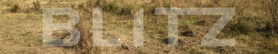 Teren de vânzare Central - 103967TV | BLITZ Târgu Jiu | Poza1