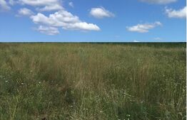 Teren Tg-Jiu 8971 mp 