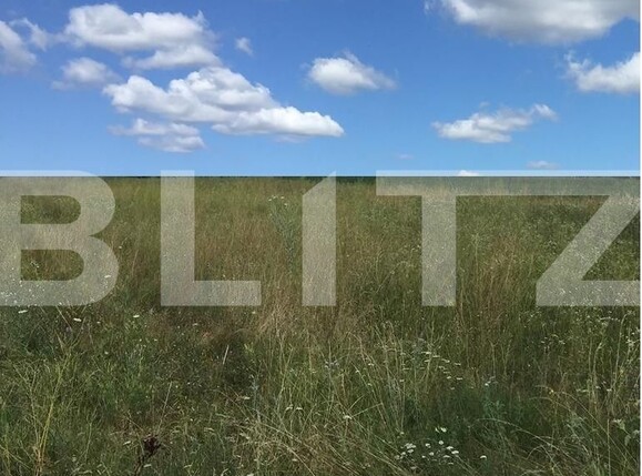 Teren de vânzare Drăgoeni - 104079TV | BLITZ Târgu Jiu | Poza1