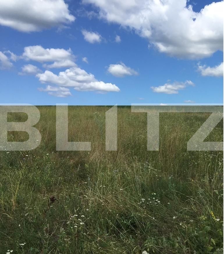 Teren de vânzare Drăgoeni - 104079TV | BLITZ Târgu Jiu | Poza1