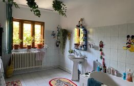 Casă modernă spatioasa, pozitionată excelent in Targu Jiu