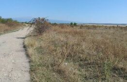 De vanzare teren 6650 mp in zona Narciselor