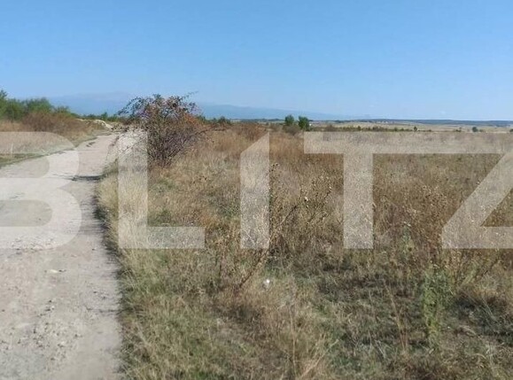 Teren de vânzare Narciselor - 104193TV | BLITZ Târgu Jiu | Poza1