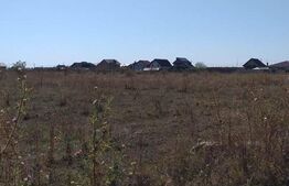 De vanzare teren in zona Narciselor 9929mp