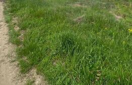 Teren Turcinesti 1600 mp