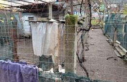 Casa semicentrala 270 mp Targu Jiu