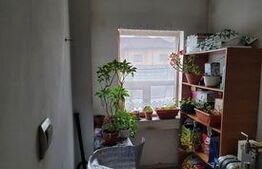 Casa semicentrala 270 mp Targu Jiu