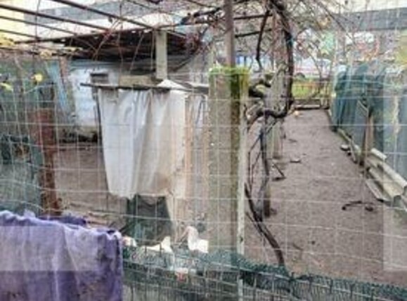 Casa de vânzare 8 camere Nord - 104197CV | BLITZ Târgu Jiu | Poza17