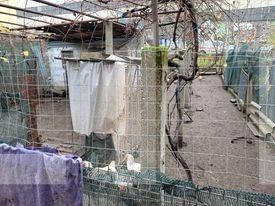 Casa de vânzare 8 camere Nord - 104197CV | BLITZ Târgu Jiu | Poza17