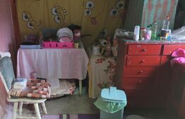 Casa modernizata Brosteni Mehedinti