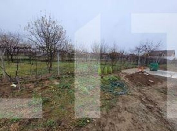 Casa de vânzare 4 camere Drăgoeni - 104306CV | BLITZ Târgu Jiu | Poza19