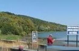 De vanzare pădure mixtă 2,5 ha situat pe centura orasului Targu Jiu