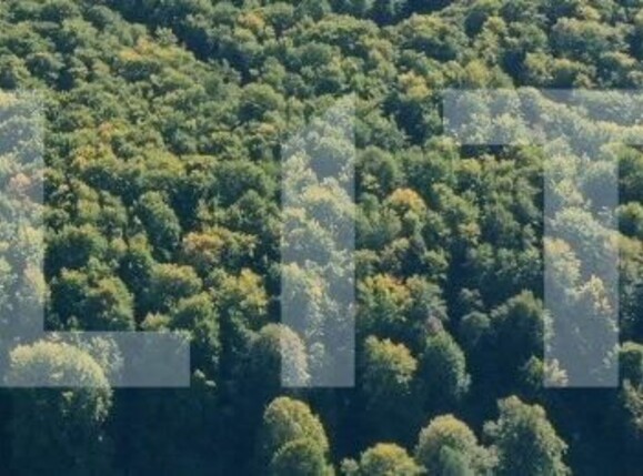 Teren de vânzare Centura - 104395TV | BLITZ Târgu Jiu | Poza1