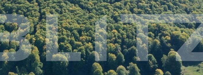 Teren de vânzare Centura - 104395TV | BLITZ Târgu Jiu | Poza1