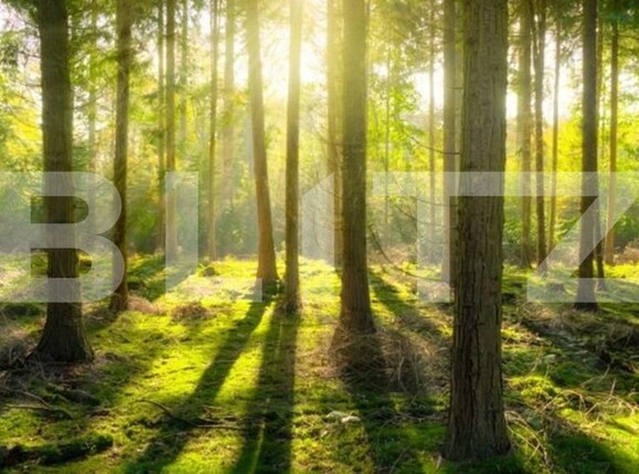 Teren de vânzare Exterior Sud - 104396TV | BLITZ Târgu Jiu | Poza1