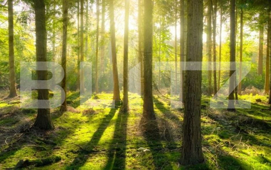 Teren de vânzare Exterior Sud - 104396TV | BLITZ Târgu Jiu | Poza1