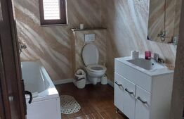 Casa de inchiriat cu foisor, terasa si curte 