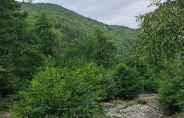 Ocazie! Exploatație de granit, pădure 300 000 mp,cabană 