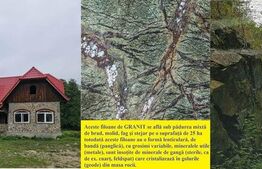 Ocazie! Exploatație de granit, pădure 300 000 mp,cabană 