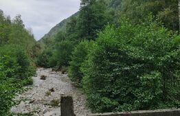 Ocazie! Exploatație de granit, pădure 300 000 mp,cabană 
