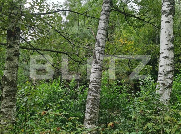 Teren de vânzare Nord Est - 104568TV | BLITZ Târgu Jiu | Poza10