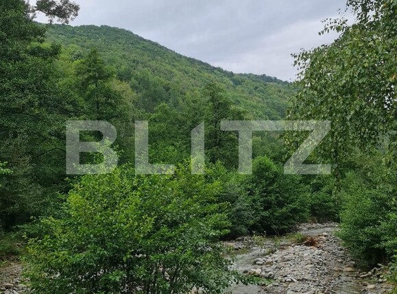 Teren de vânzare Nord Est - 104568TV | BLITZ Târgu Jiu | Poza8