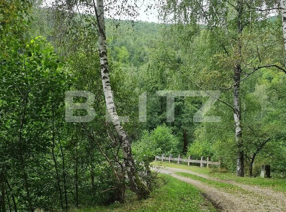 Teren de vânzare Nord Est - 104568TV | BLITZ Târgu Jiu | Poza12