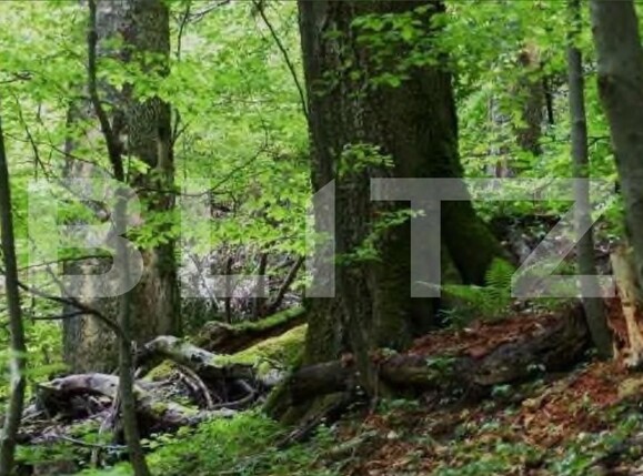 Teren de vânzare Nord Est - 104568TV | BLITZ Târgu Jiu | Poza3