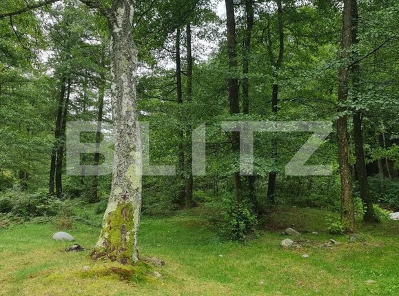 Teren de vânzare Nord Est - 104568TV | BLITZ Târgu Jiu | Poza9