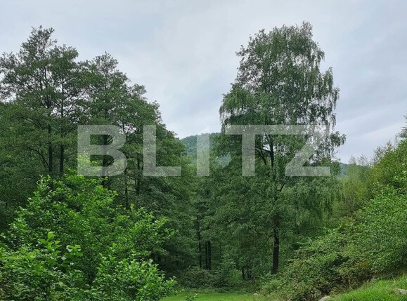 Teren de vânzare Nord Est - 104568TV | BLITZ Târgu Jiu | Poza7