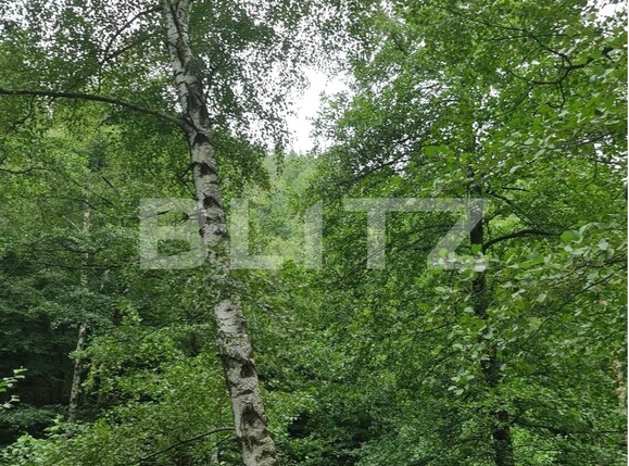 Teren de vânzare Nord Est - 104568TV | BLITZ Târgu Jiu | Poza11