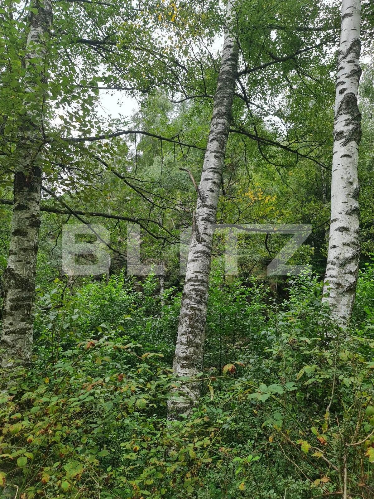 Teren de vânzare Nord Est - 104568TV | BLITZ Târgu Jiu | Poza10