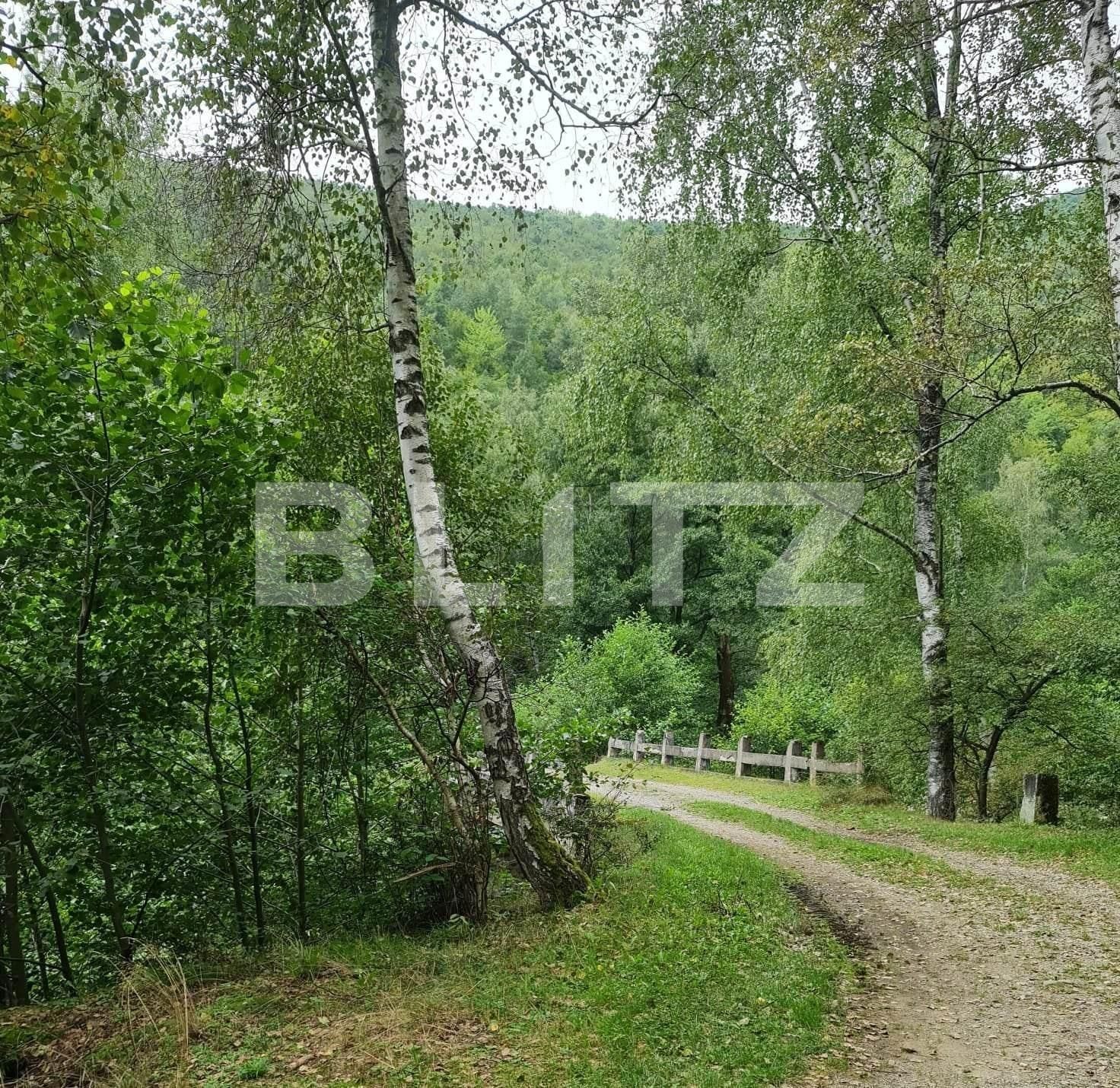 Teren de vânzare Nord Est - 104568TV | BLITZ Târgu Jiu | Poza12