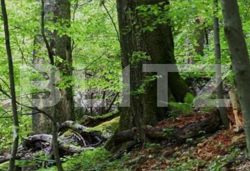 Teren de vânzare Nord Est - 104568TV | BLITZ Târgu Jiu | Poza3