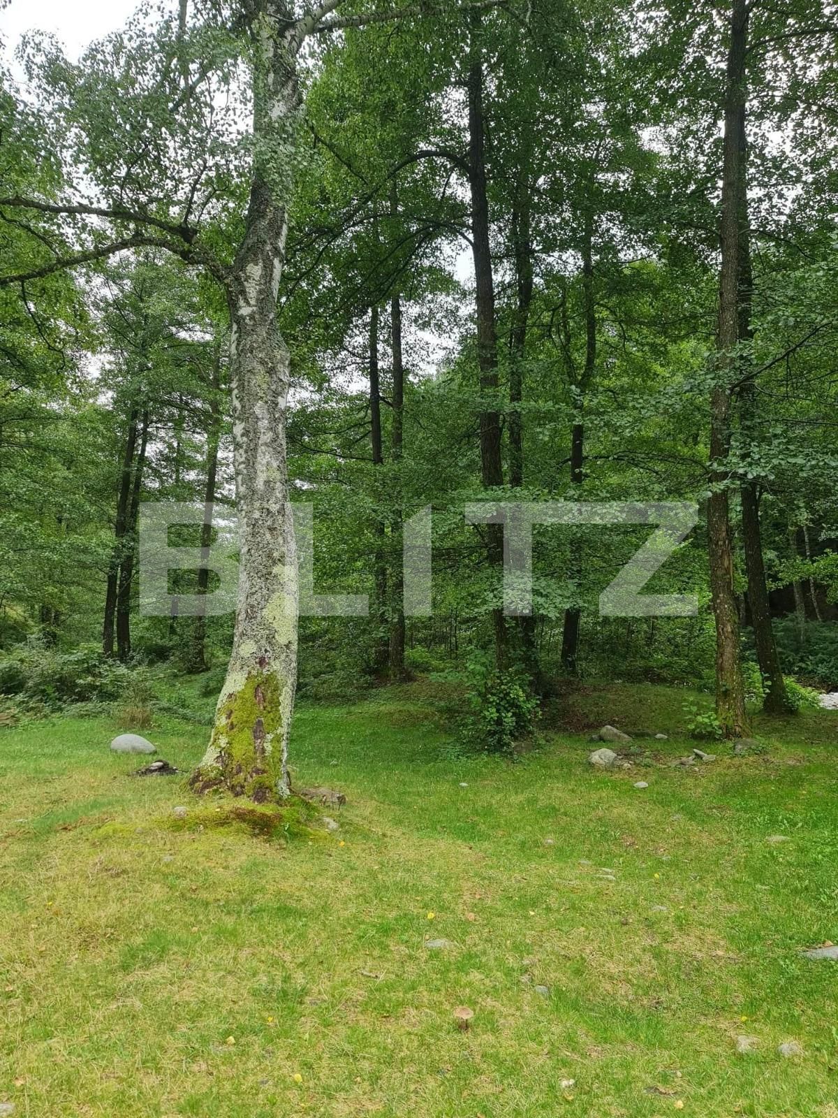 Teren de vânzare Nord Est - 104568TV | BLITZ Târgu Jiu | Poza9