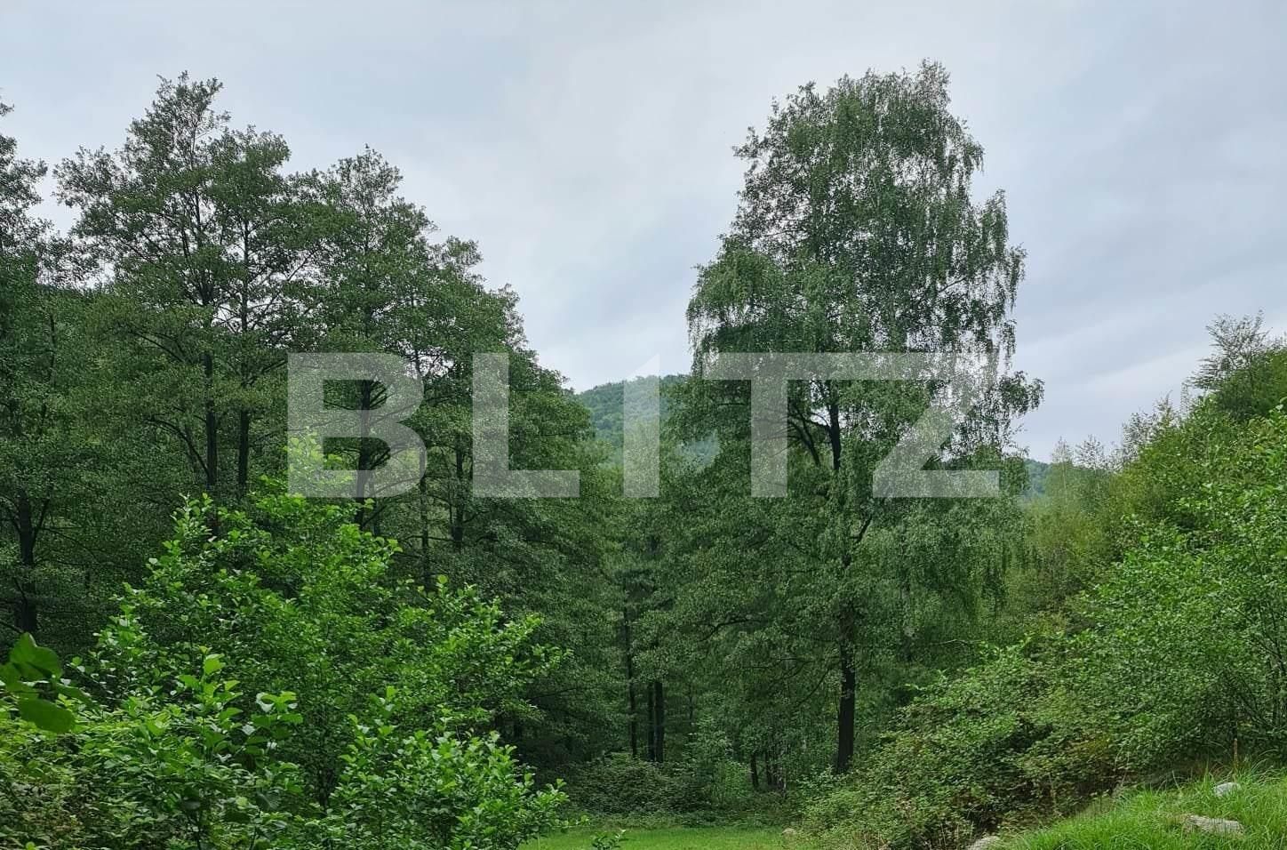 Teren de vânzare Nord Est - 104568TV | BLITZ Târgu Jiu | Poza7