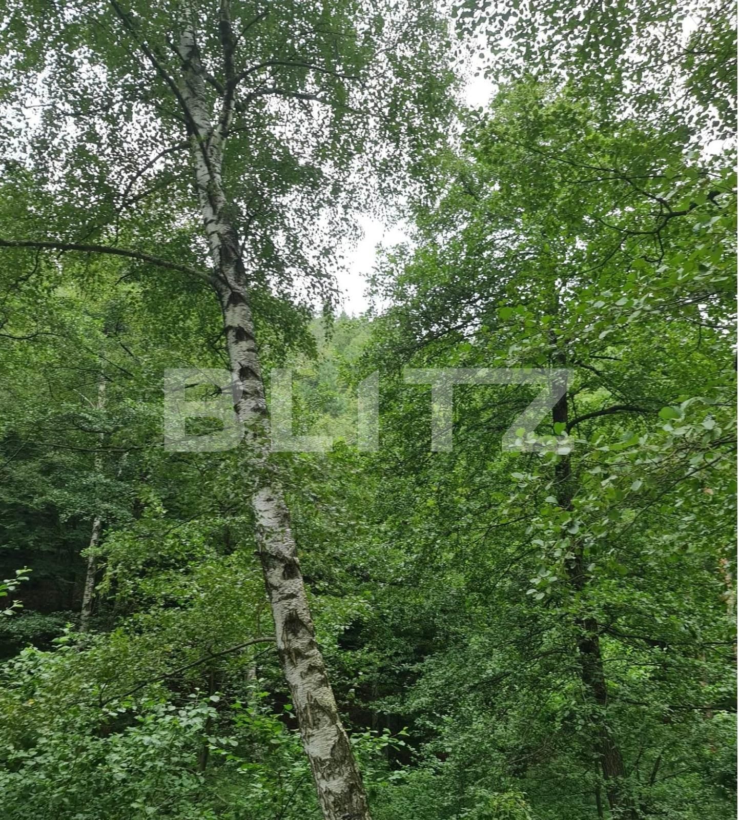 Teren de vânzare Nord Est - 104568TV | BLITZ Târgu Jiu | Poza11