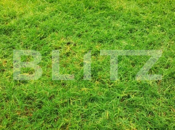 Teren de vânzare Centura Narciselor - 104569TV | BLITZ Târgu Jiu | Poza1