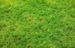 Ocazie! Teren Târgu jiu.