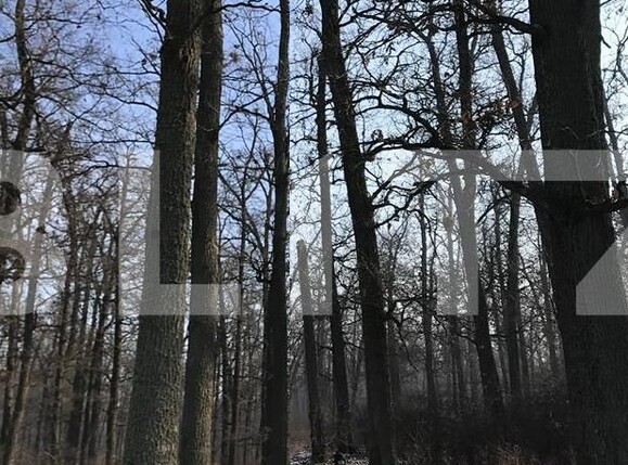 Teren de vânzare Nord Est - 104572TV | BLITZ Târgu Jiu | Poza3