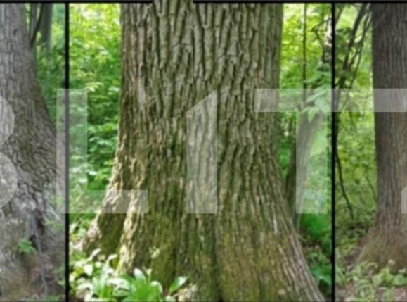 Teren de vânzare Nord Est - 104572TV | BLITZ Târgu Jiu | Poza1