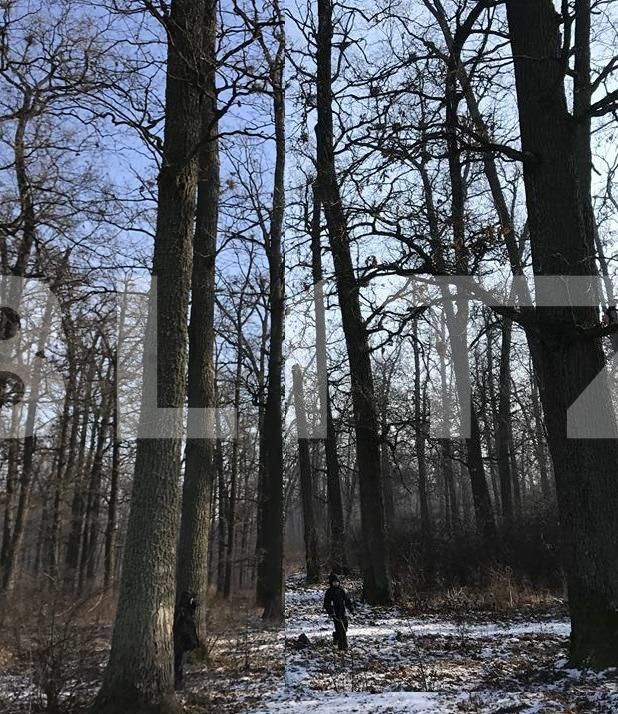 Teren de vânzare Nord Est - 104572TV | BLITZ Târgu Jiu | Poza3