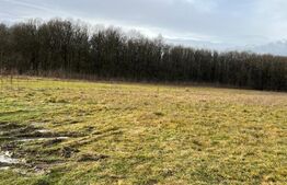 De vanzare teren situat in comuna Danesti