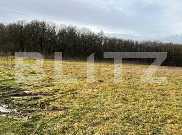 Teren de vânzare Sud - 104574TV | BLITZ Târgu Jiu | Poza1