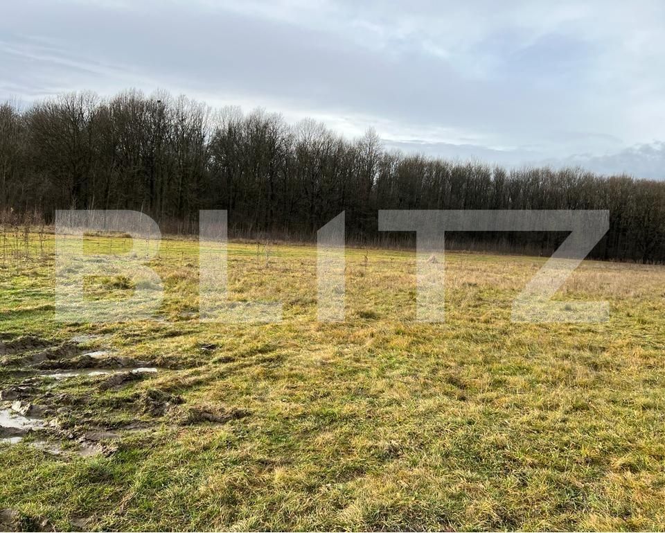 Teren de vânzare Sud - 104574TV | BLITZ Târgu Jiu | Poza1