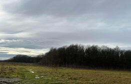 De vanzare teren in Dănești,Botorogi