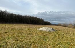 De vanzare teren in Dănești,Botorogi